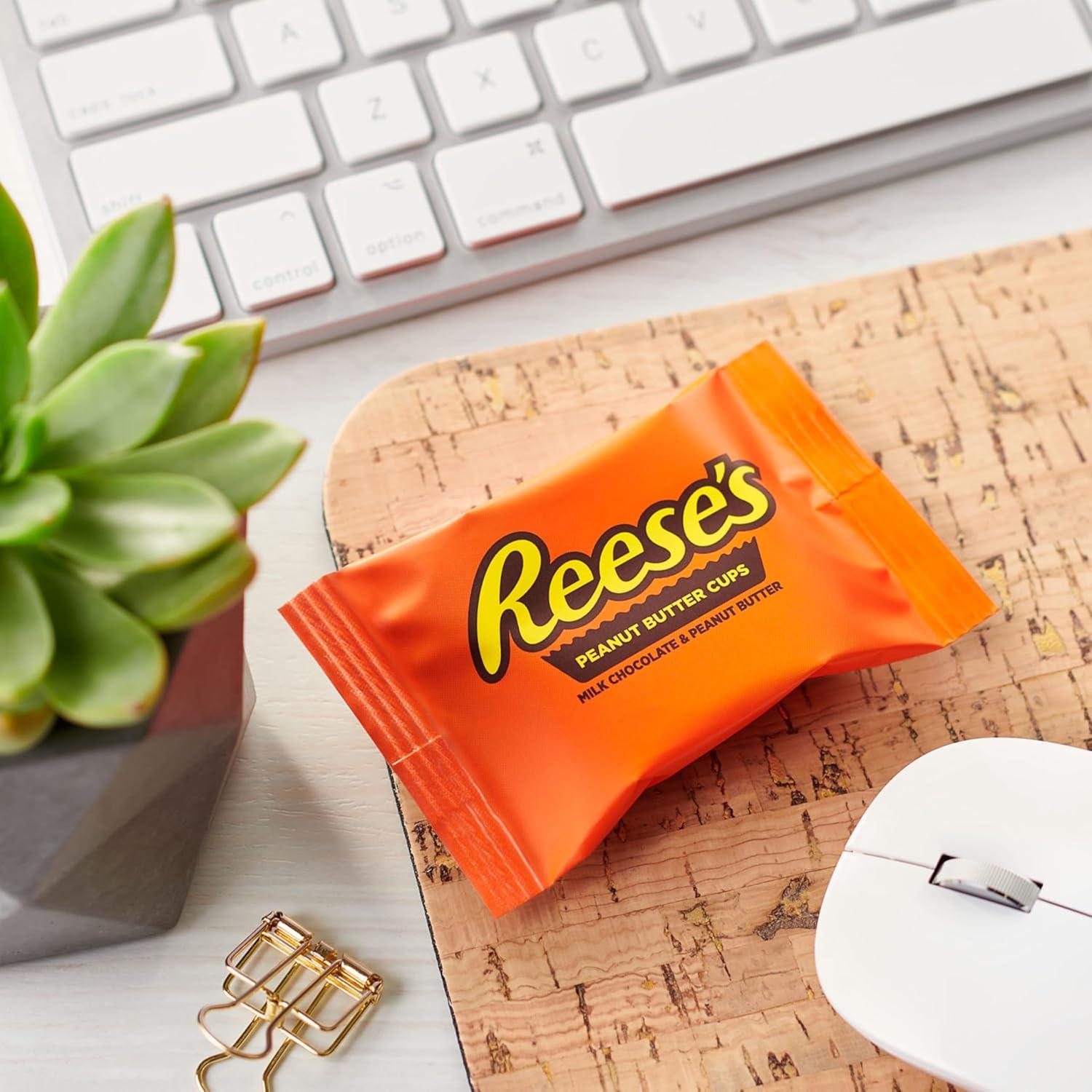 imageREESES Milk Chocolate Snack Size Peanut Butter Cups Candy Pantry Pack Halloween Candy 1375 oz 25 Pieces25 Count Pack of 1