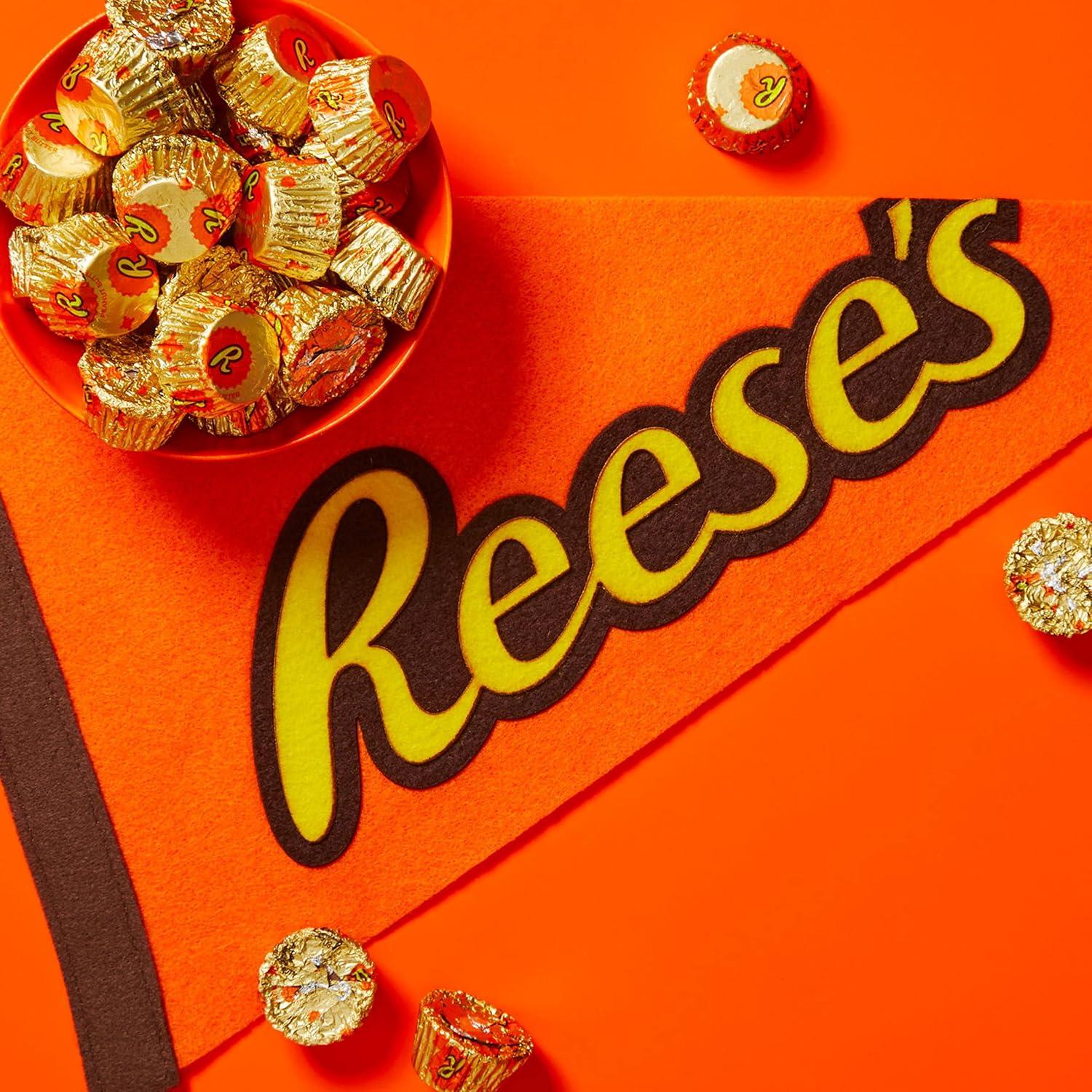 imageREESES Miniatures Milk Chocolate Peanut Butter Cups Candy Packs 031 oz 105 Pieces