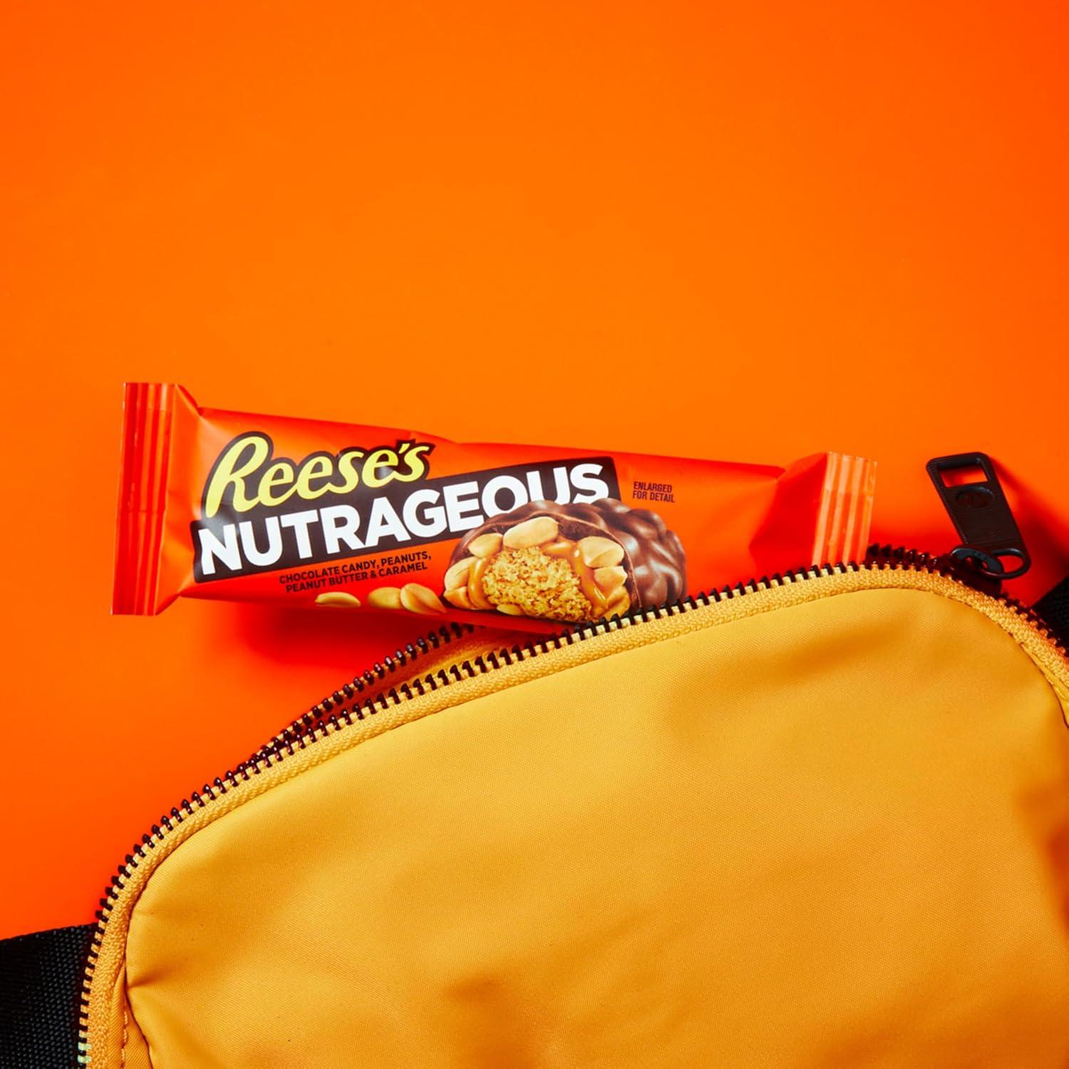 imageREESES NUTRAGEOUS Chocolate Peanut Butter Caramel and Peanut Candy Bars 166 oz 18 Count