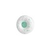 BREATH SAVERS Peppermint Sugar Free Breath Mints Rolls, 0.75 oz (24 Count)(Wintergreen)