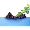 BROOKSIDE Dark Chocolate, Acai and Blueberry Flavored Snacking Chocolate Bag, 7 oz
