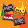 HERSHEY’S Miniatures Assorted Chocolate, Christmas Candy Bag, 17.1 oz(Chocolate)