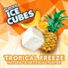 ICE BREAKERS ICE CUBES Slushie (Pack of 12)(Tropical Freeze)