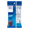 JOLLY RANCHER Ropes Blue Raspberry and Cherry Flavored Candy Bag, 6 oz(6 Ounce (Pack of 2))