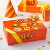 REESE’S Assorted Peanut Butter Candy Bulk Box, 44.1 oz (30 Count)(Variety Pack)