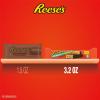 REESE’S Crunchy Peanut Peanut Butter and Peanuts King Size, Candy Bars, 3.2 oz (18 Count)