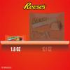 REESE’S FAST BREAK Peanut Butter Nougat Candy Bars, 1.8 oz (Pack of 18)
