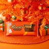 REESE’S Milk Chocolate Peanut Butter Cup Bar, 16 oz., 1 lb(Milk Chocolate)