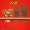 REESE’S Miniatures Milk Chocolate Peanut Butter Cups, Candy Party Pack, Halloween Candy, 35.6 oz(REESE’S Cups)