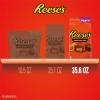 REESE’S Miniatures Milk Chocolate Peanut Butter Cups, Candy Party Pack, Halloween Candy, 35.6 oz(REESE’S Party Pack)