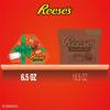 REESE’S Miniatures Milk Chocolate Peanut Butter Cups, Christmas Candy Bag, 17.1 oz(Peanut Butter)