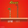 REESE’S Miniatures Milk Chocolate Peanut Butter Cups, Christmas Candy Plastic Cane, 2.17 oz(Peanut-Butter)