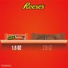 REESE’S TAKE 5 Pretzel, Peanut and Chocolate Candy Bars, 1.5 oz (18 Count)