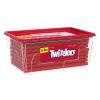 TWIZZLERS Twists Strawberry Flavored Licorice Style, Chewy Candy Tub, 5 lb(Strawberry)
