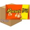REESE’S Peanut Butter Baking Chips Bags, 10 oz (12 Count)(REESE’S Peanut Butter Baking Chips (Pack of 12))