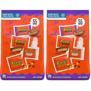 REESE’S Assorted Flavored Snack Size Peanut Butter, Halloween Candy Bag, 30.45 oz (55 Pieces)(Bundle: Pack of 2)