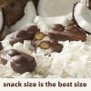 ALMOND JOY Coconut and Almond Chocolate Snack Size, Candy Jumbo Bag, 20.1 oz(11.3 Ounce (Pack of 6))