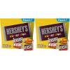 HERSHEY’S Miniatures Assorted Chocolate Candy Family Pack, 17.6 oz(17.6 oz pack (Pack of 2))